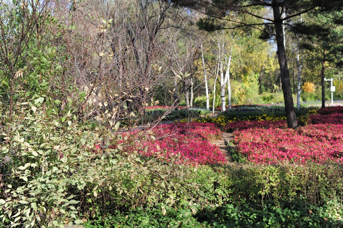 新入尼康d3s试镜