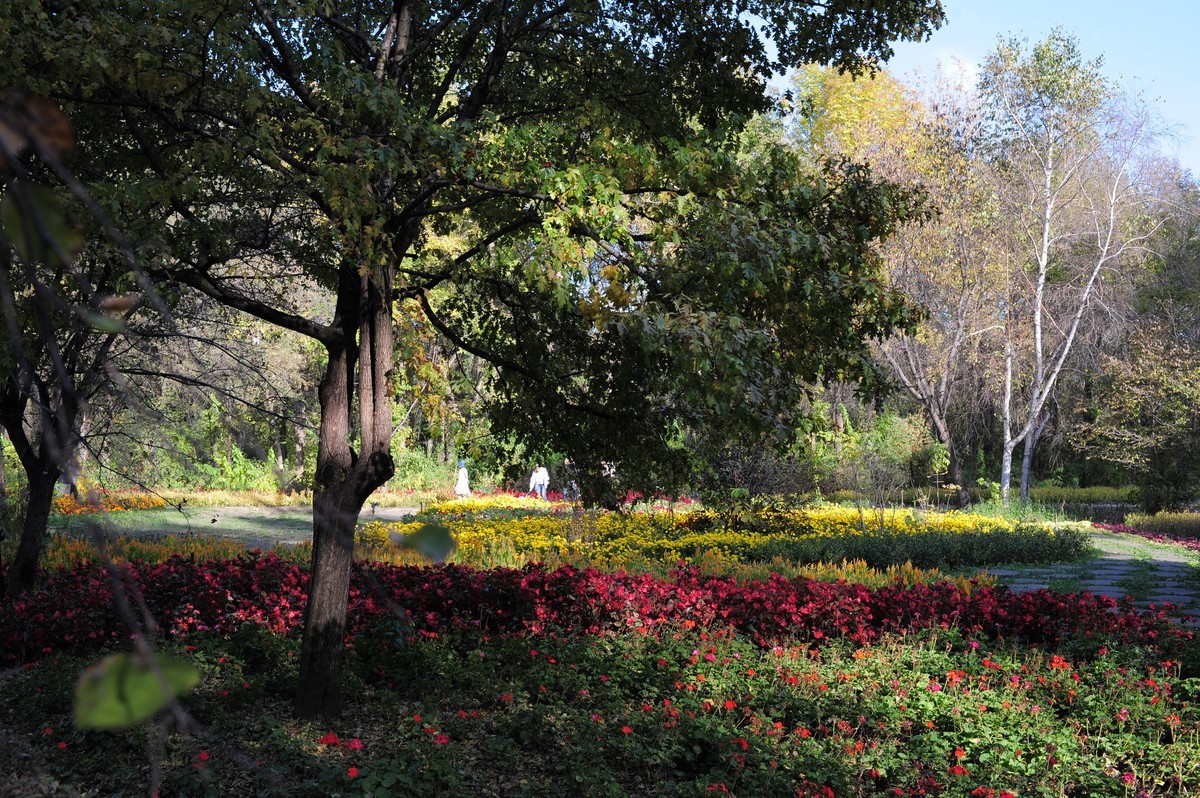 新入尼康d3s试镜