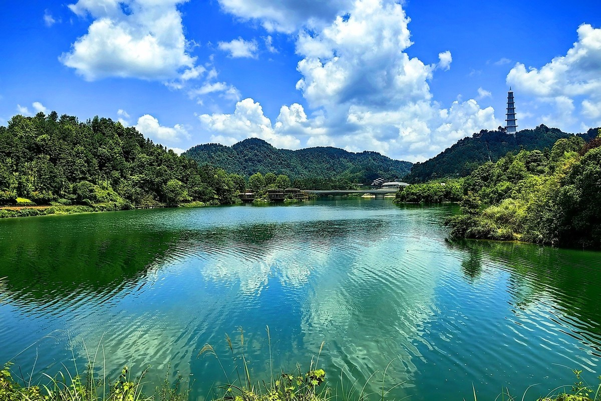 贵州绿博园手机版