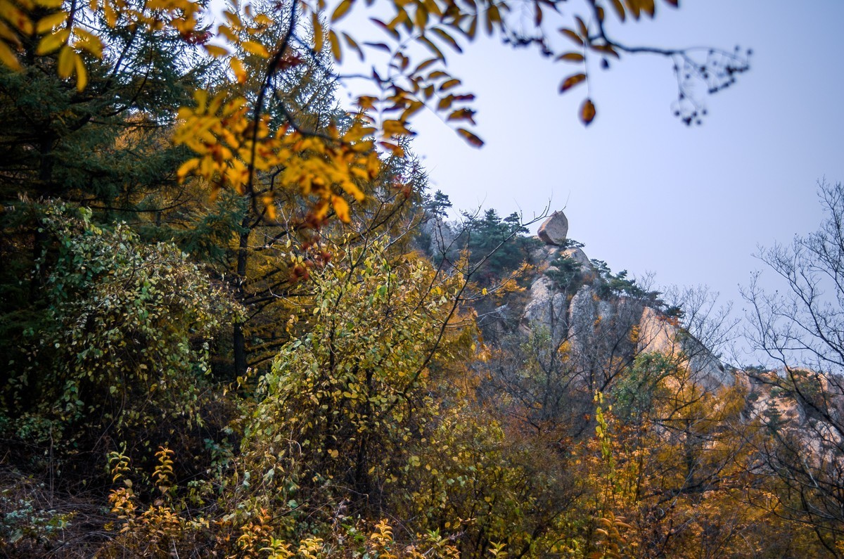 秋山旧图（和一些心事）