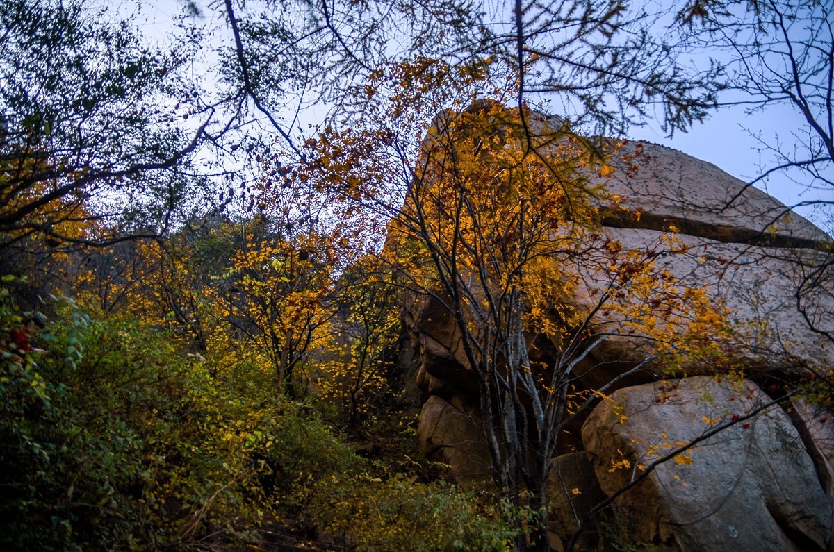秋山旧图（和一些心事）