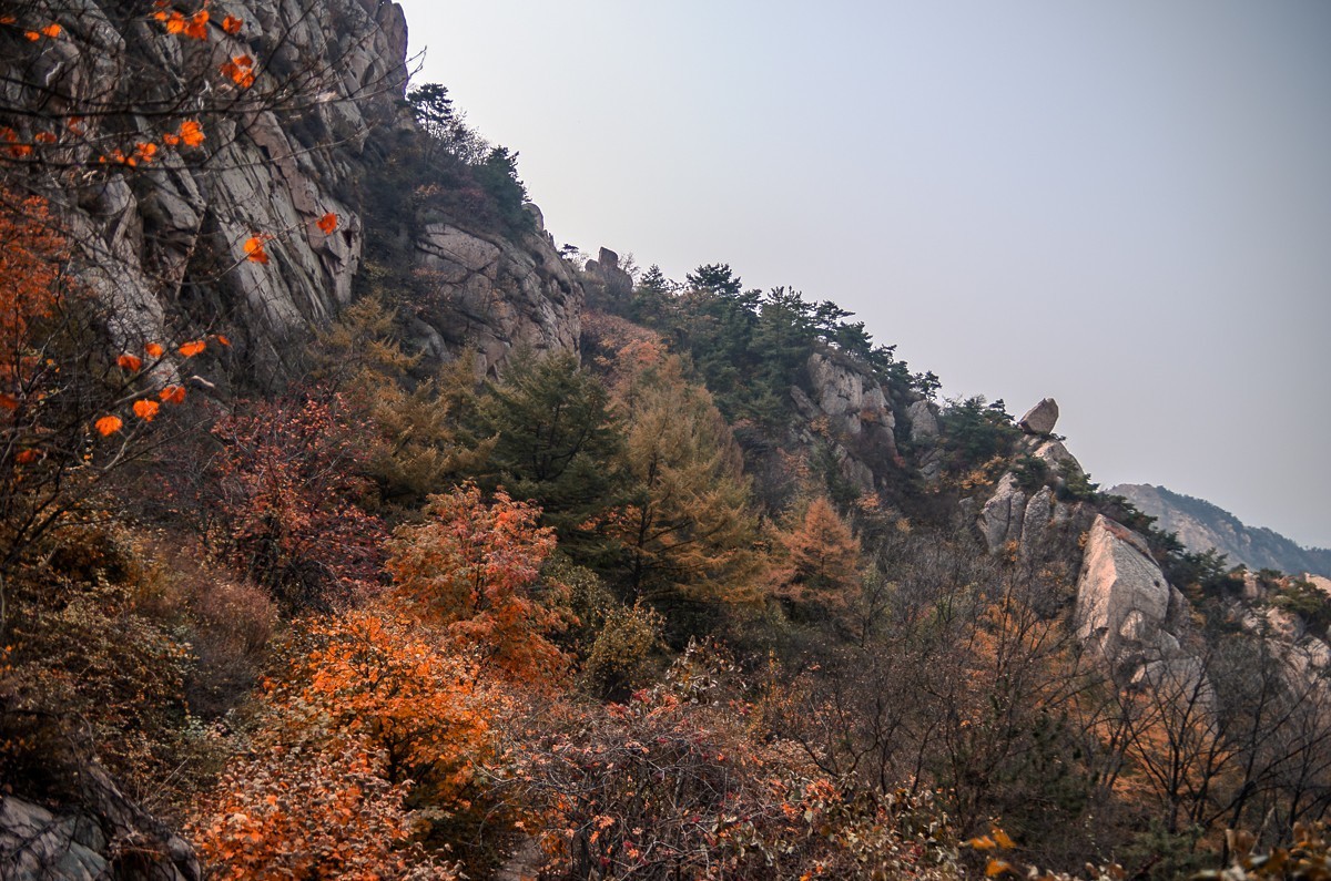 秋山旧图（和一些心事）