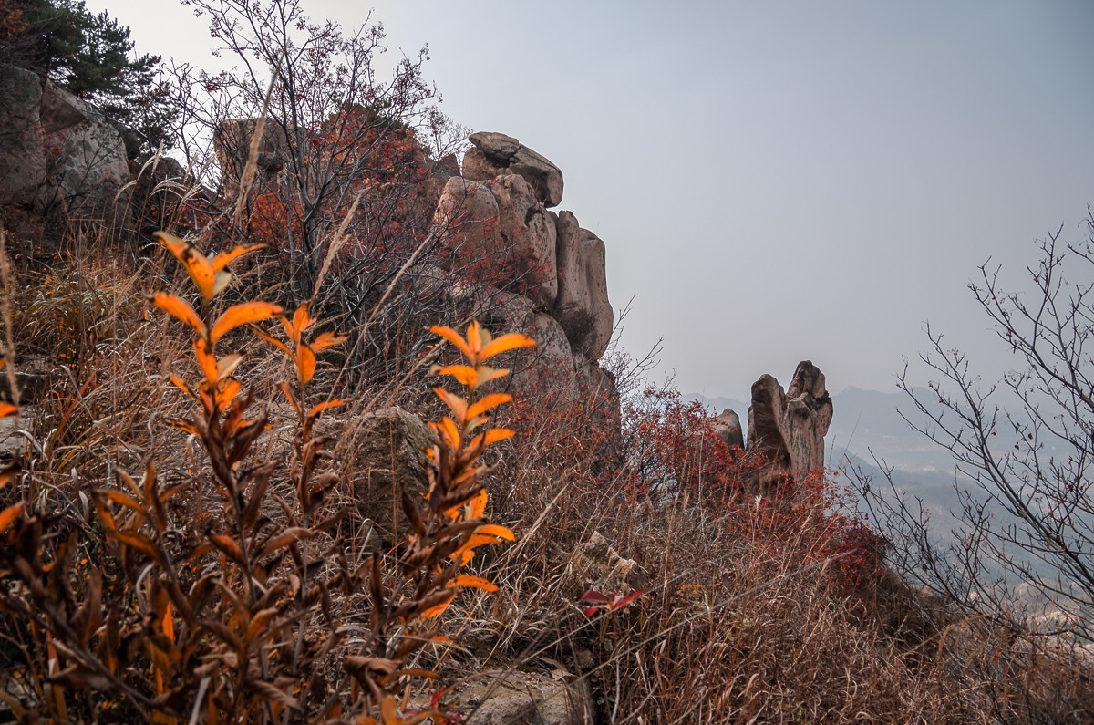 秋山旧图（和一些心事）