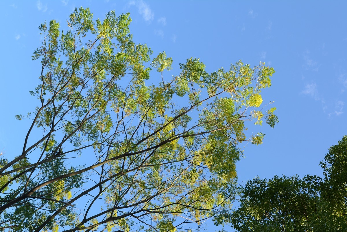 许久没动相机了