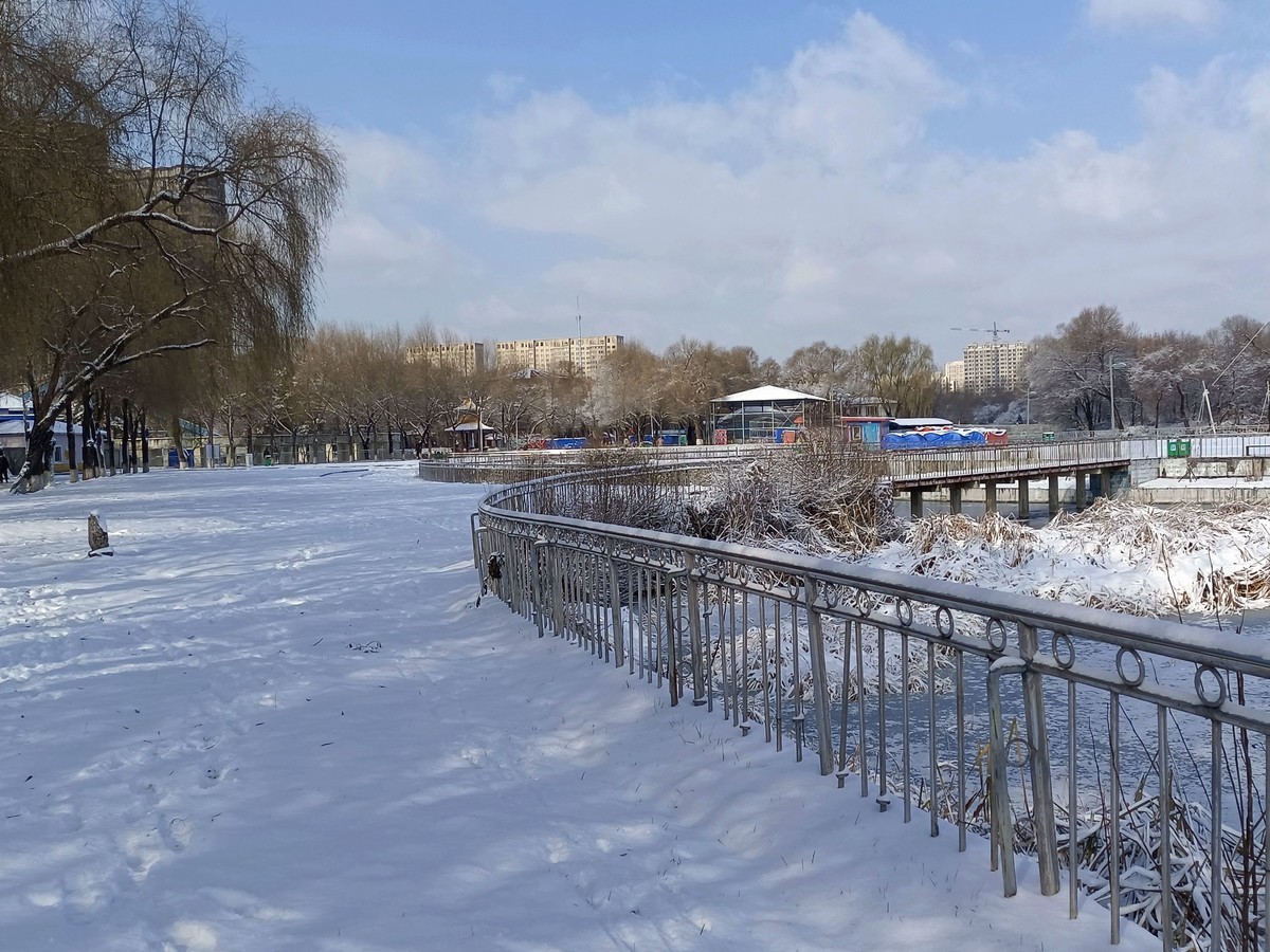 手机拍照人民公园雪景5
