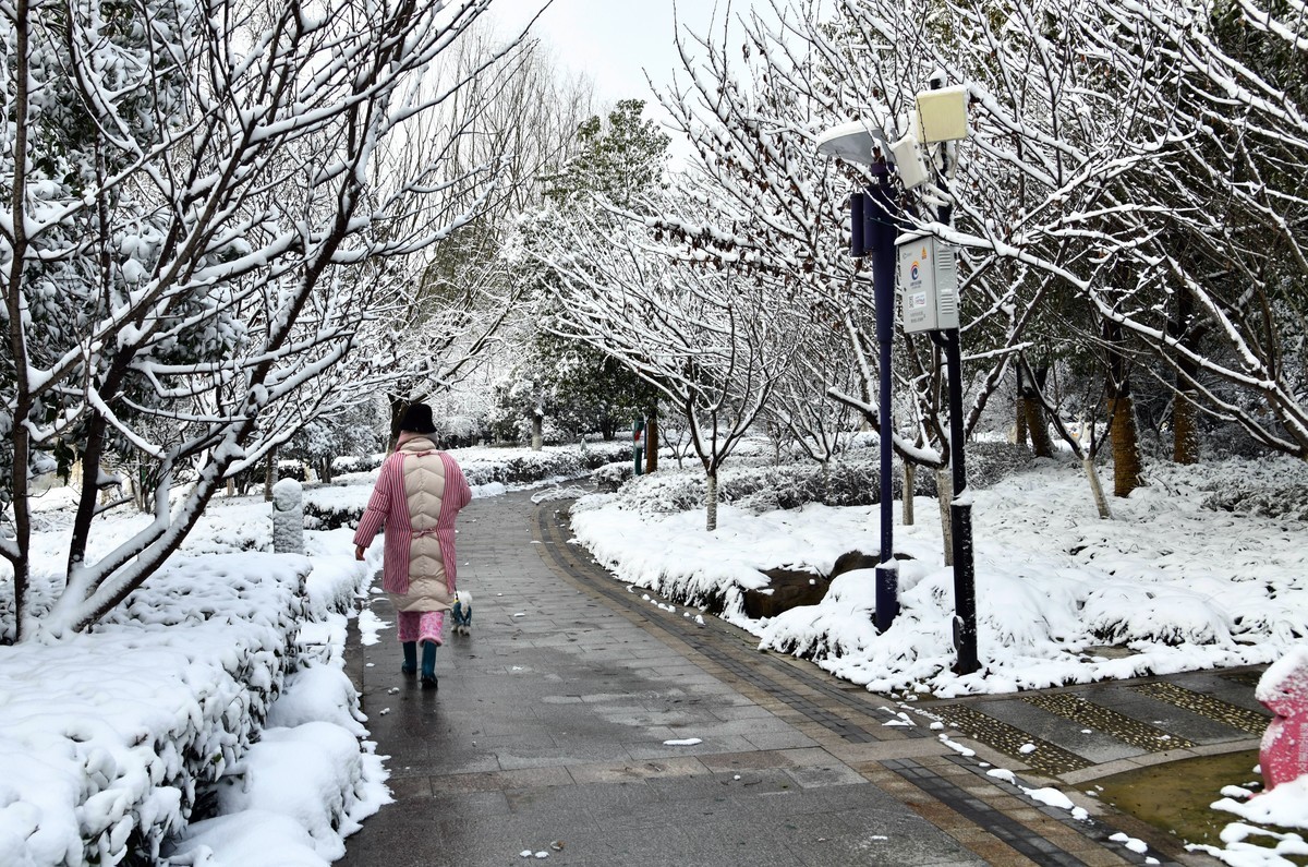 雪的记忆-中关村在线摄影论坛
