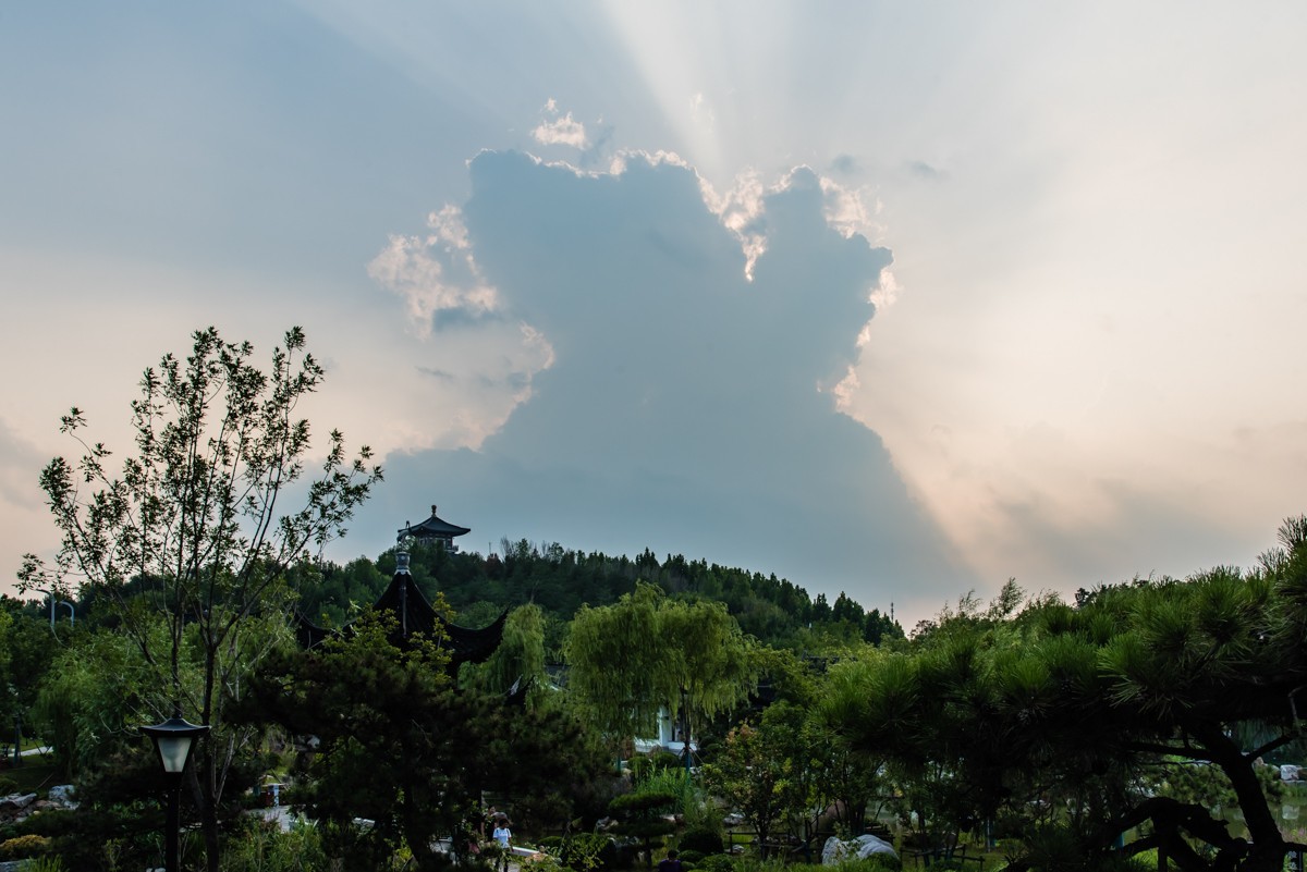 【镜头里】第1406号：唐山花海·后园博时代的城市名片（十六）