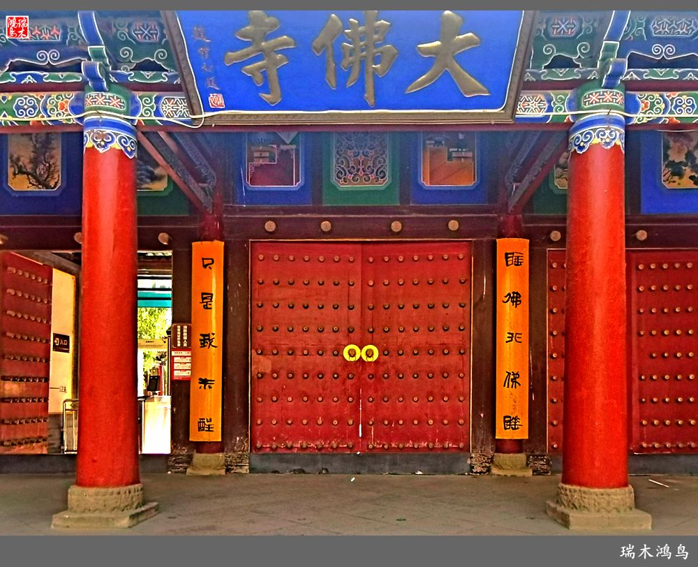 【甘青大环线】7.张掖拜访大佛寺