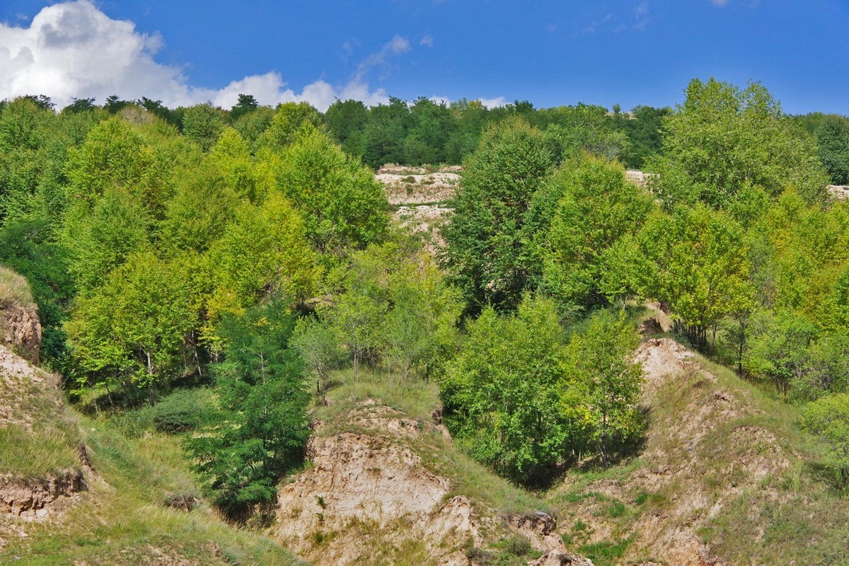 宁夏南部山区农村情景