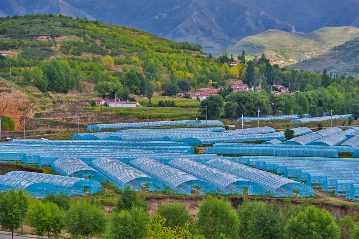 宁夏南部山区农村情景