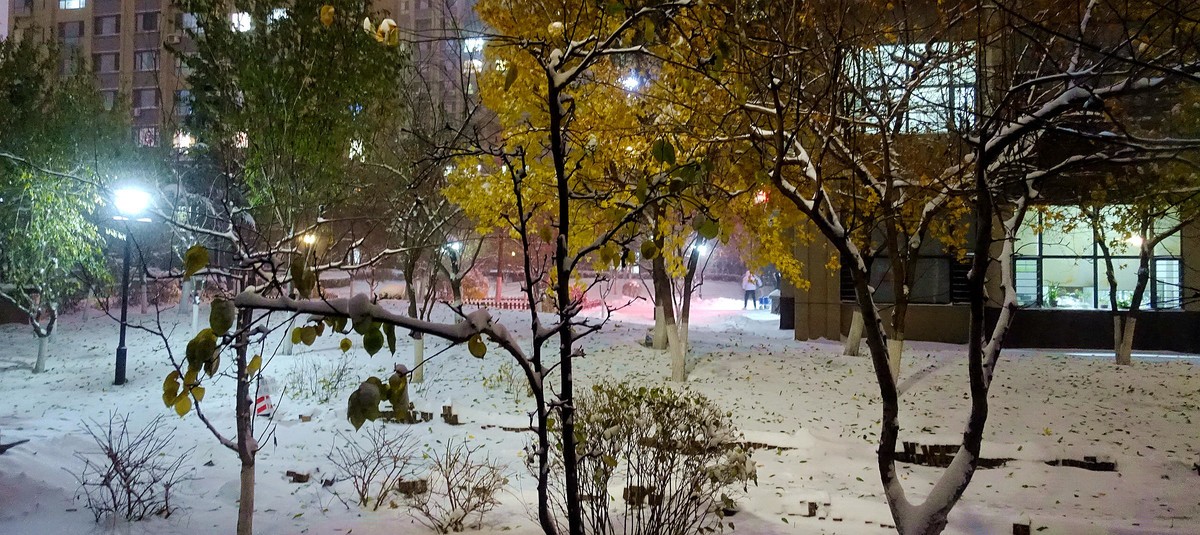 立冬小区雪夜美