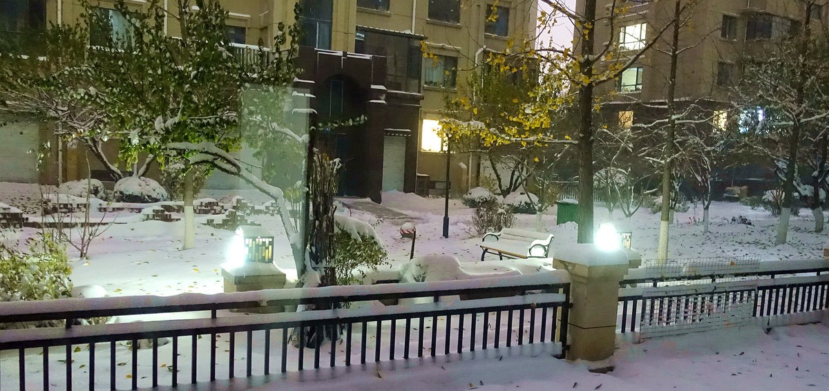 立冬小区雪夜美