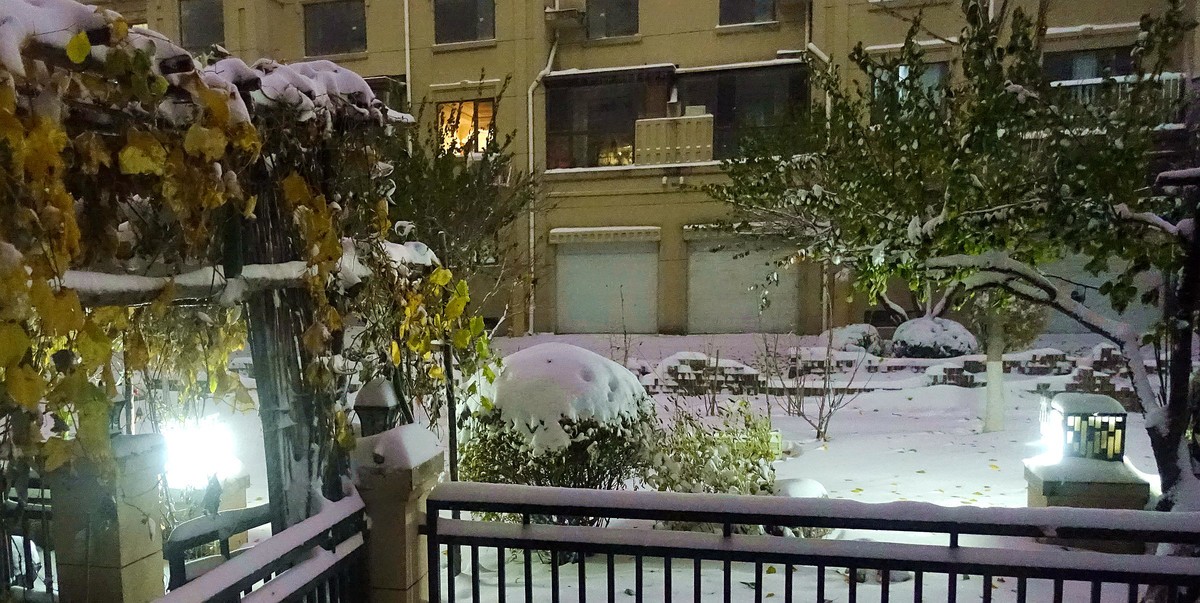 立冬小区雪夜美
