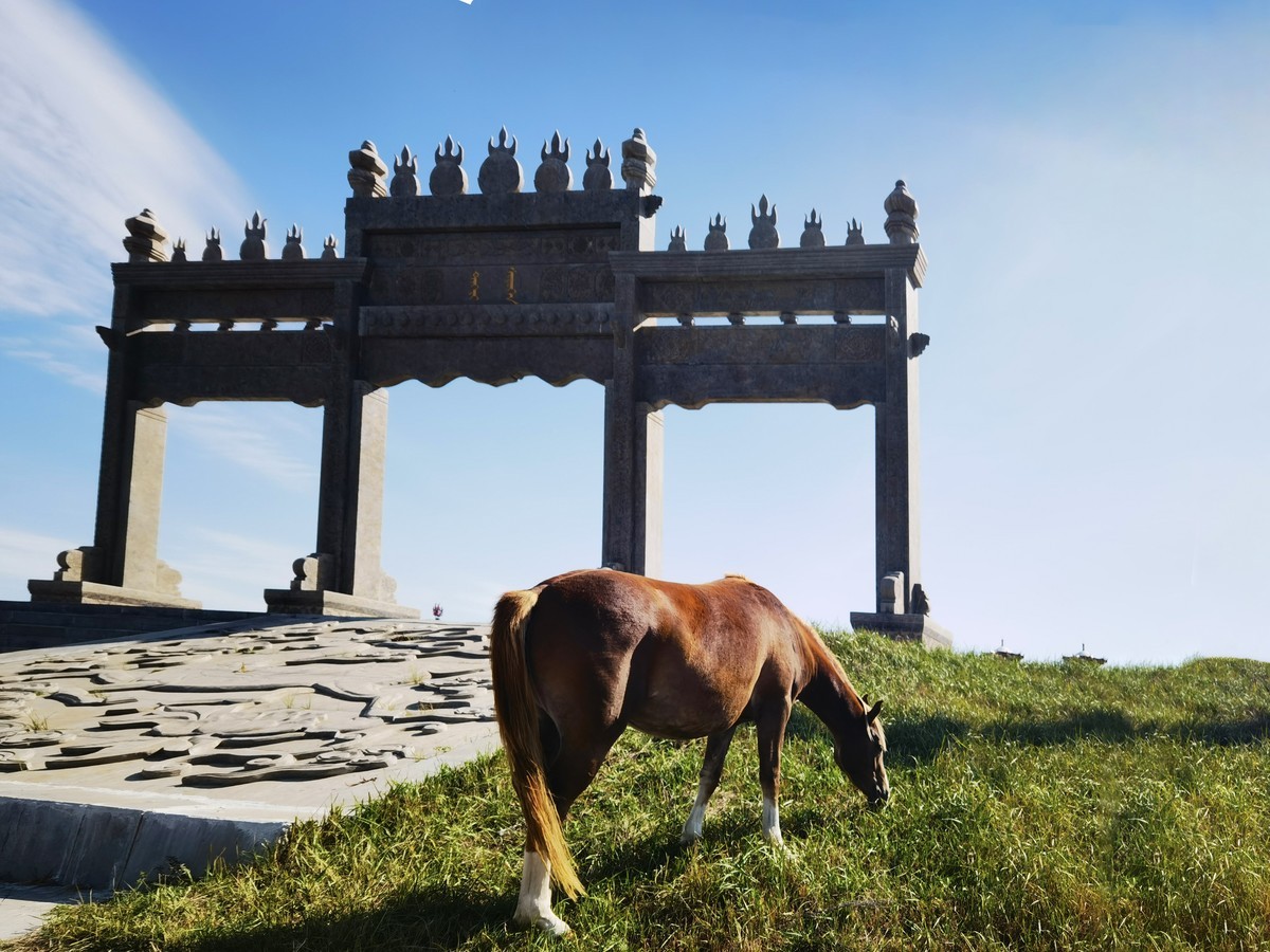寒冬过后，春暖花开——逆境中的重生与希望
