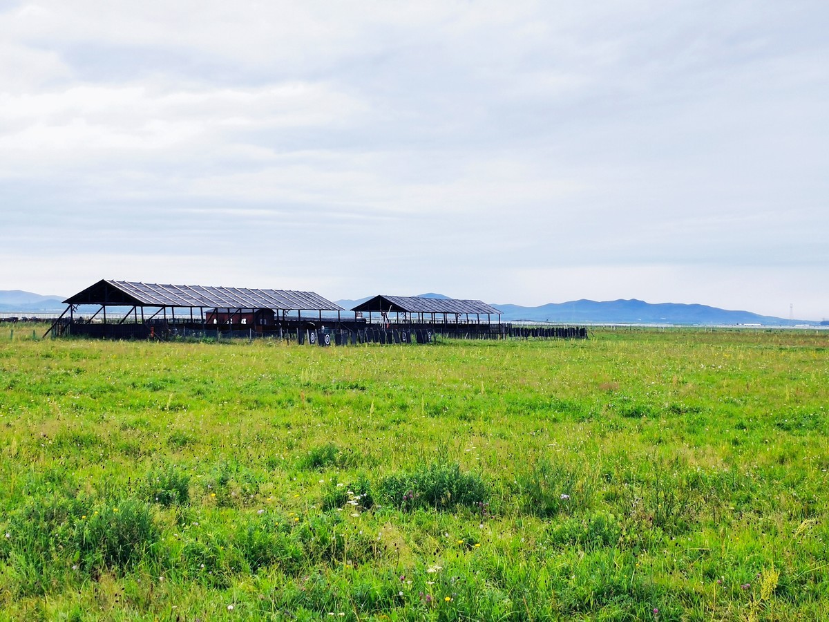 寒冬过后，春暖花开——逆境中的重生与希望