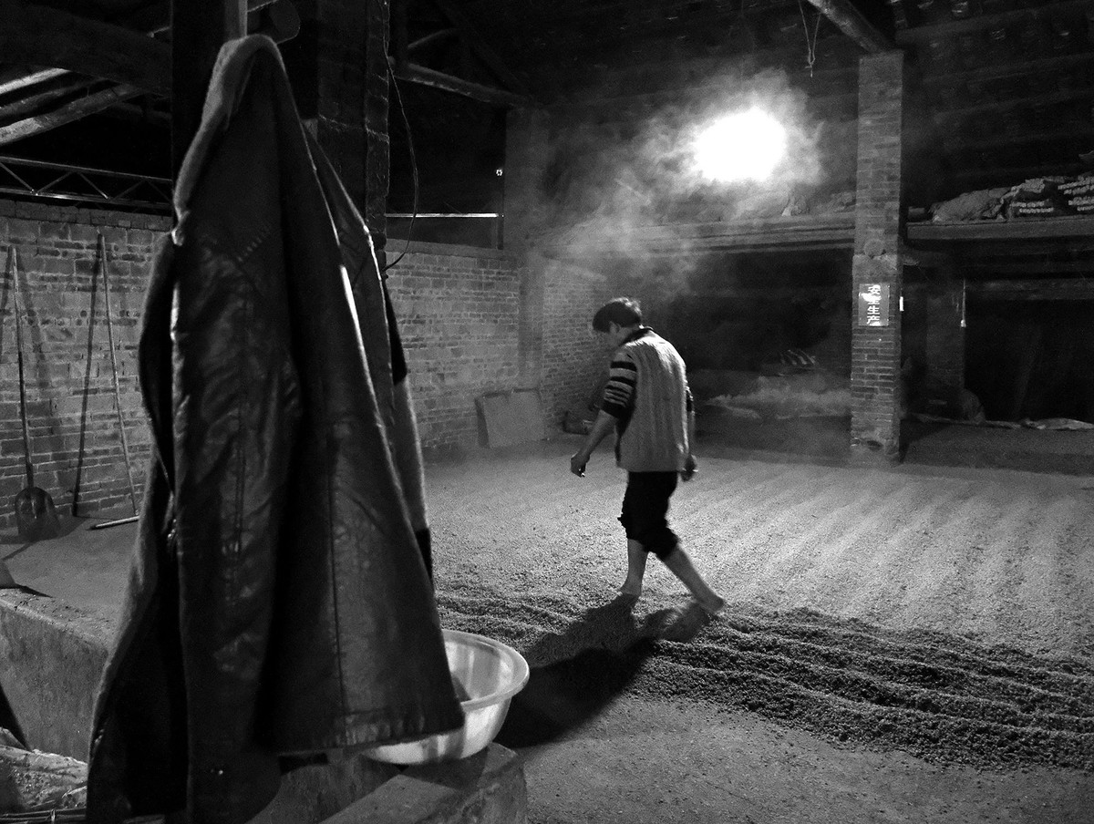 探秘老酒厂，近距离观看制酒工艺（四）