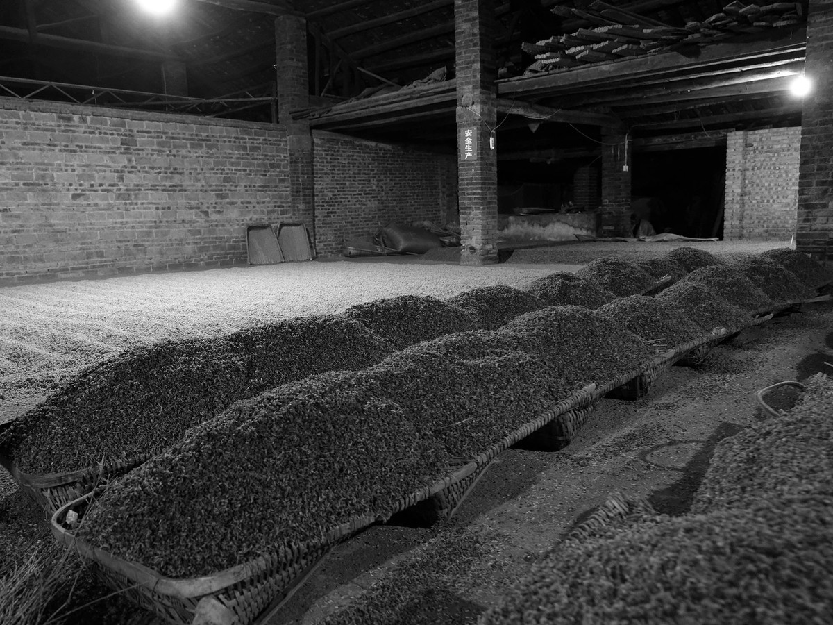 探秘老酒厂，近距离观看制酒工艺（四）