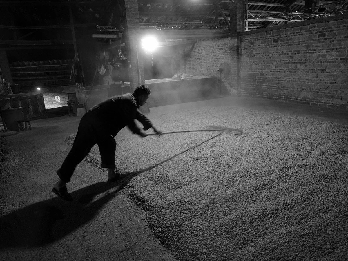 探秘老酒厂，近距离观看制酒工艺（四）