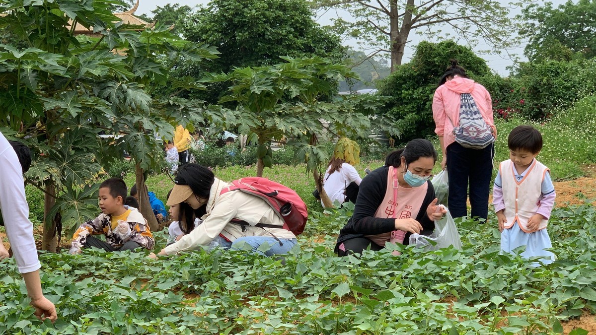 惠州五一哪里好玩？一定要来这里打卡