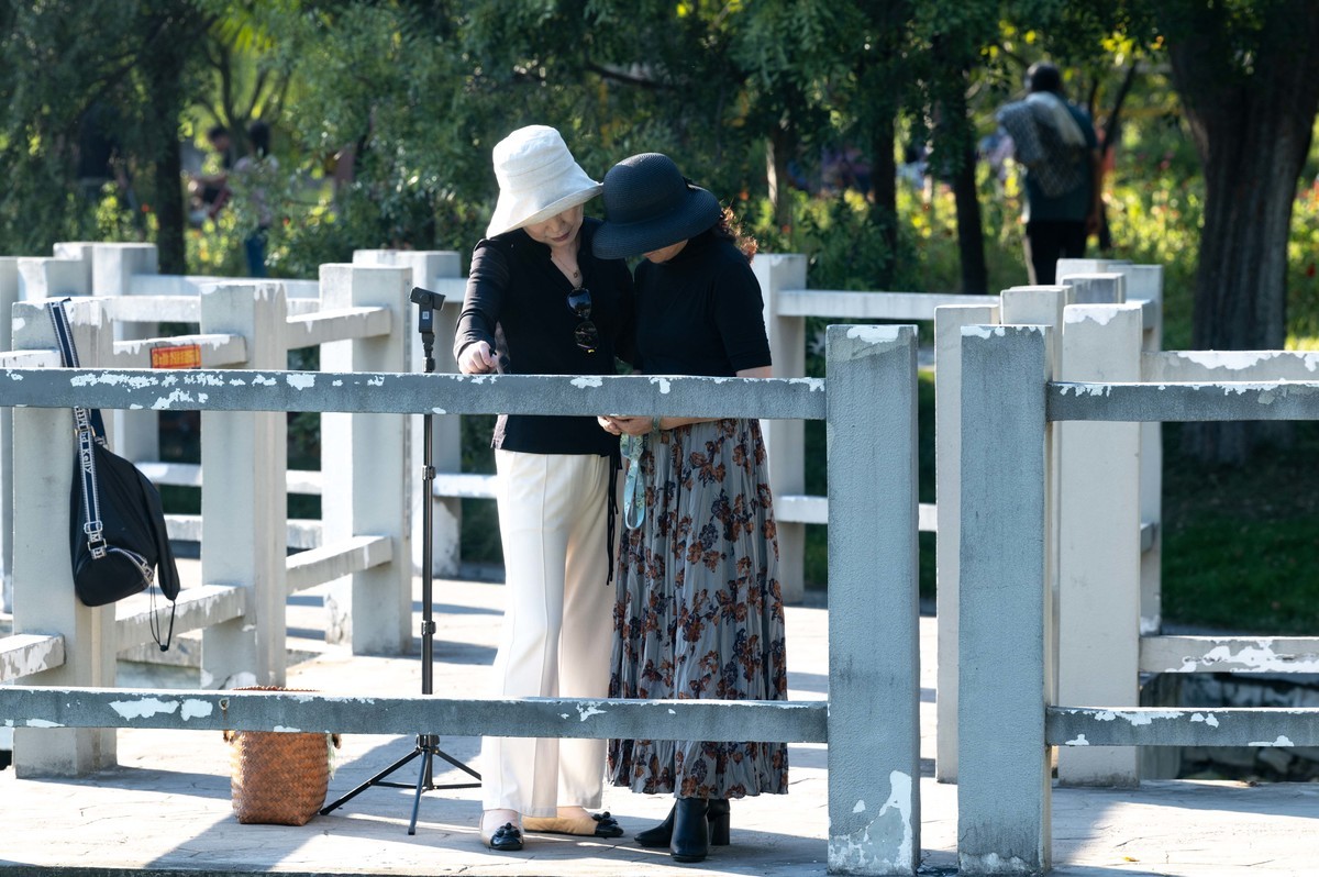 庐州印象（390）杏花公园