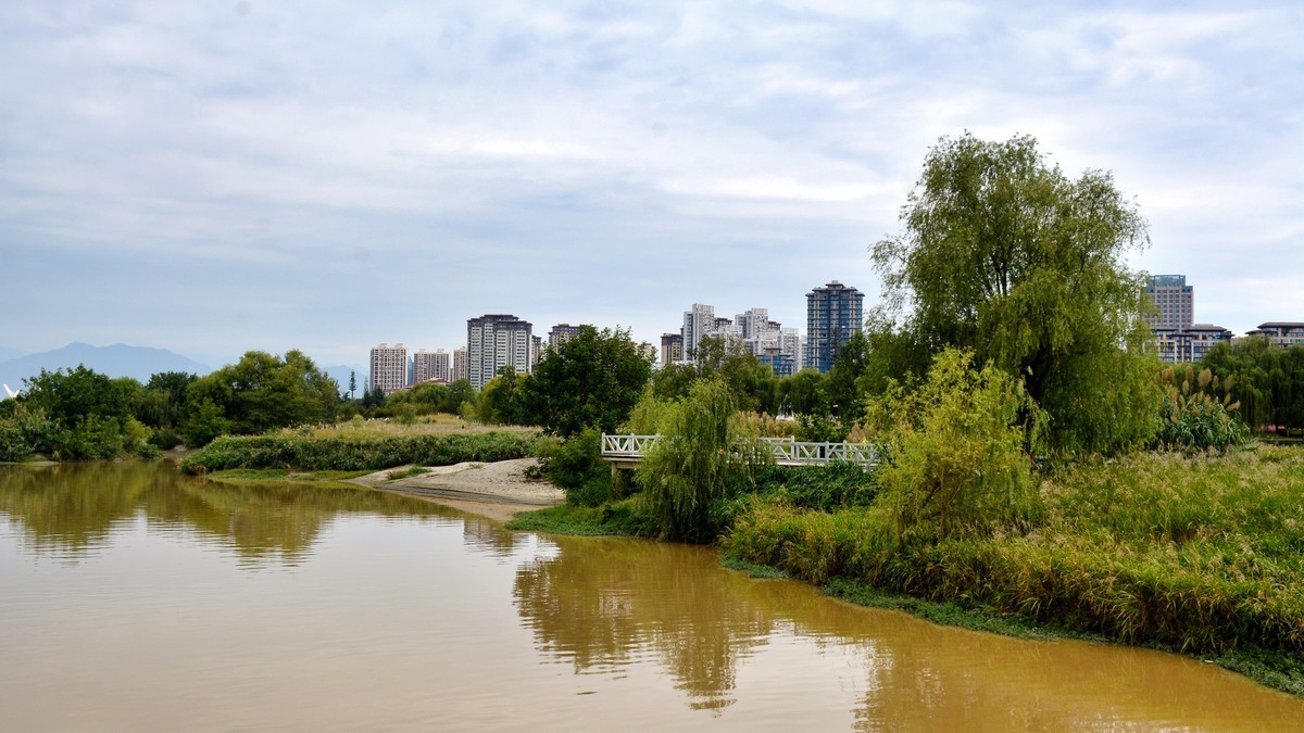 湿地秋拍（2024291）