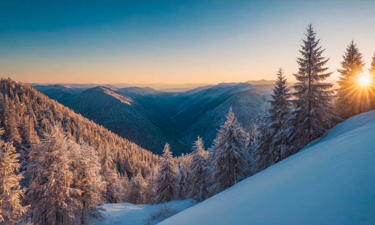 感悟生命的真谛