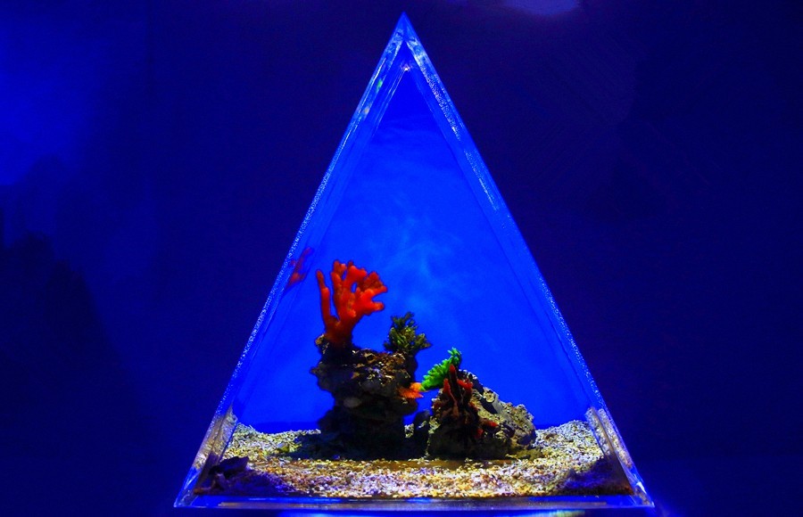 《不老松：纪实摄影》【山河锦绣】（23）雄安郊野公园：海洋舘！