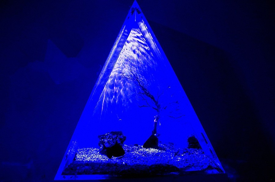 《不老松：纪实摄影》【山河锦绣】（23）雄安郊野公园：海洋舘！