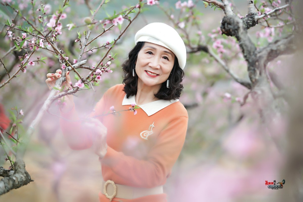 【梅林倩影】---卫华