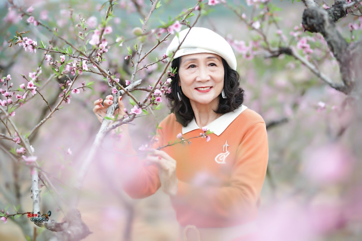 【梅林倩影】---卫华