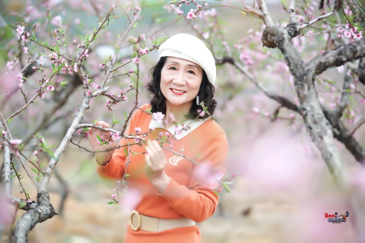 【梅林倩影】---卫华