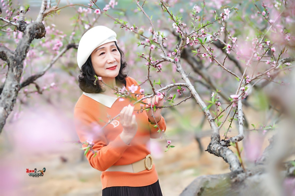 【梅林倩影】---卫华