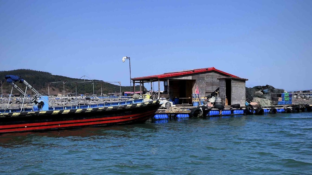 东山岛出海登海排