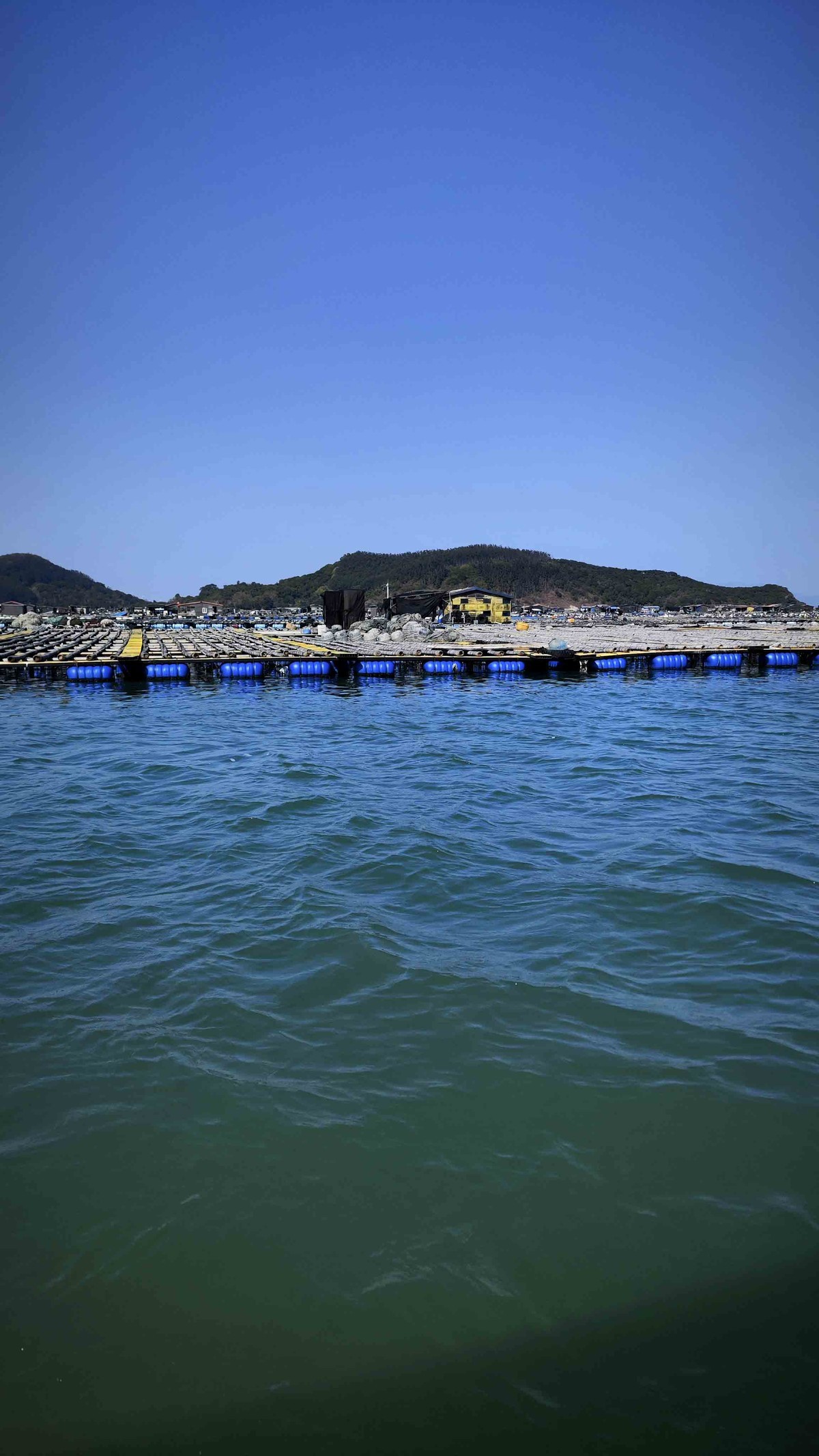 东山岛出海登海排