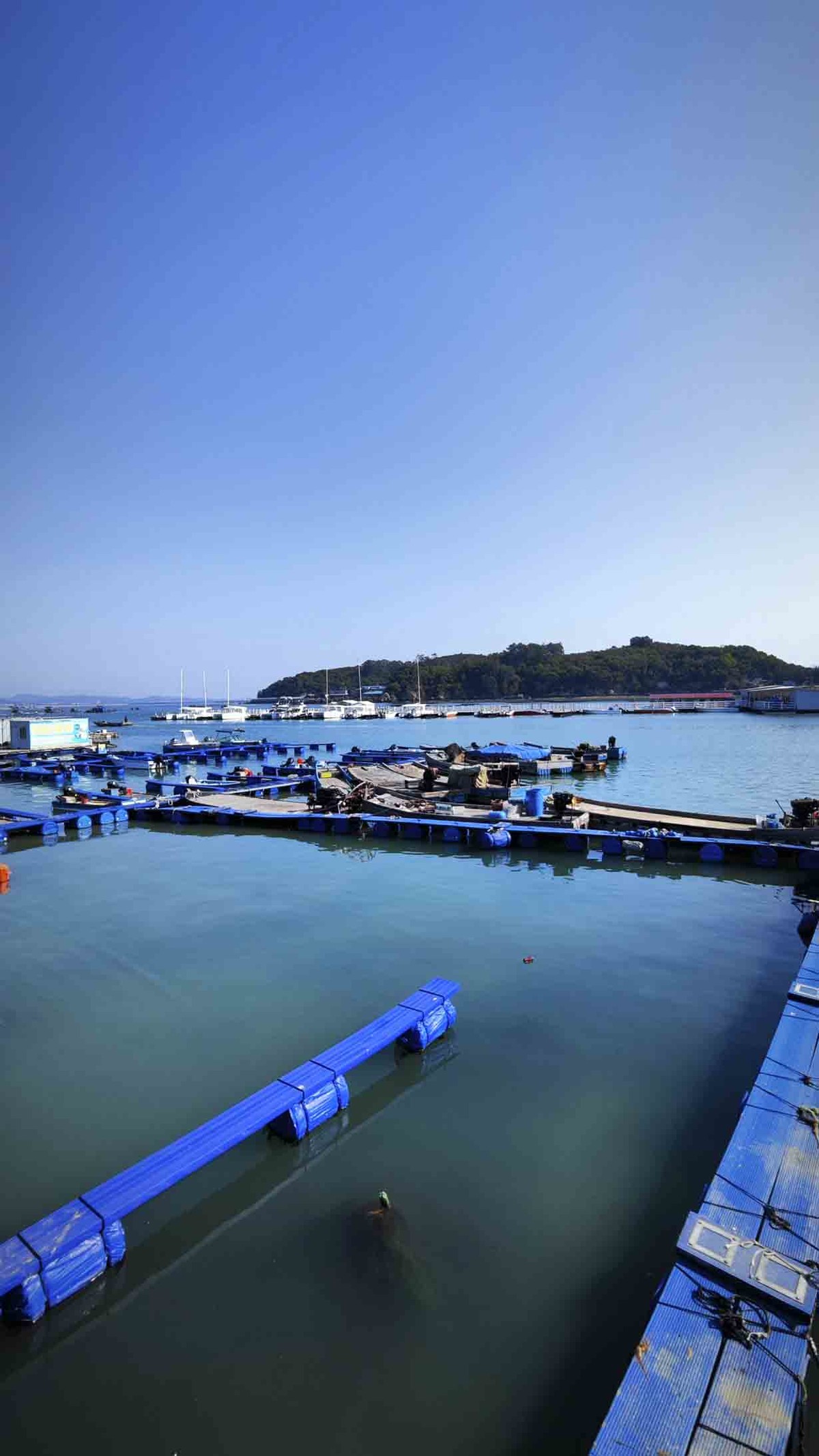 东山岛出海登海排