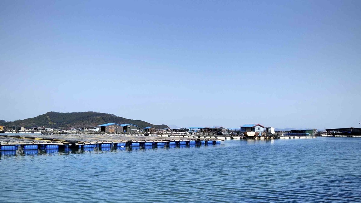 东山岛出海登海排