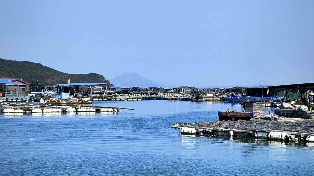 东山岛出海登海排