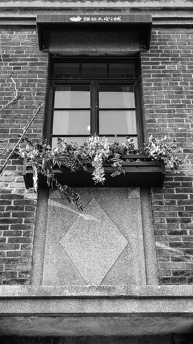 黑 白 味 的 东 关 街 （ 三 ）