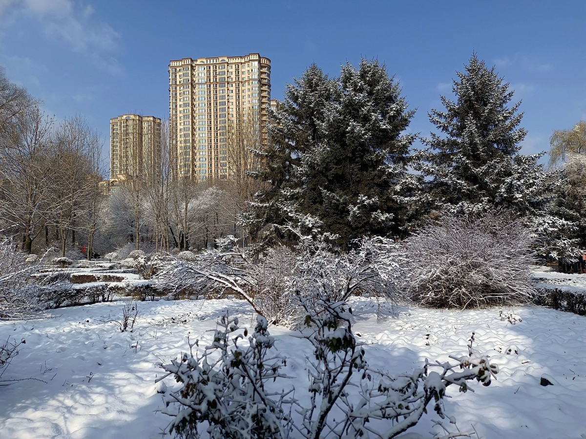 手机拍照人民公园雪景5