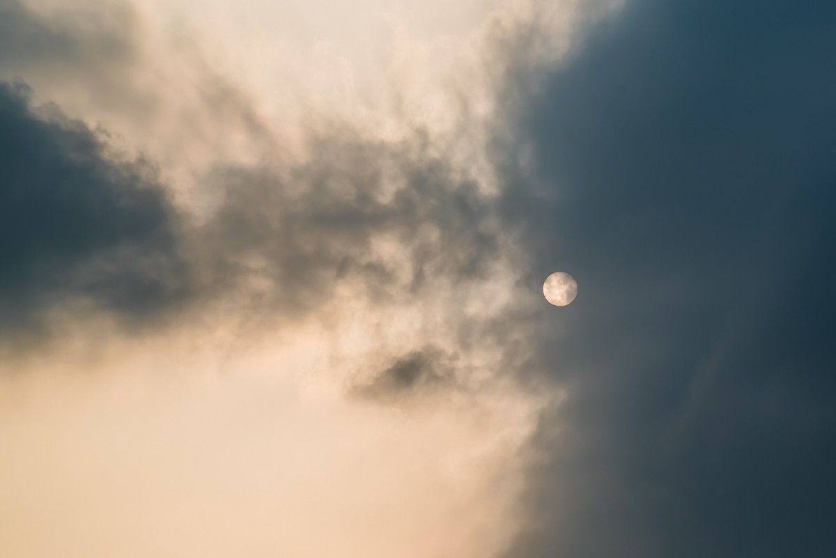 【镜头里】第1406号：唐山花海·后园博时代的城市名片（十六）