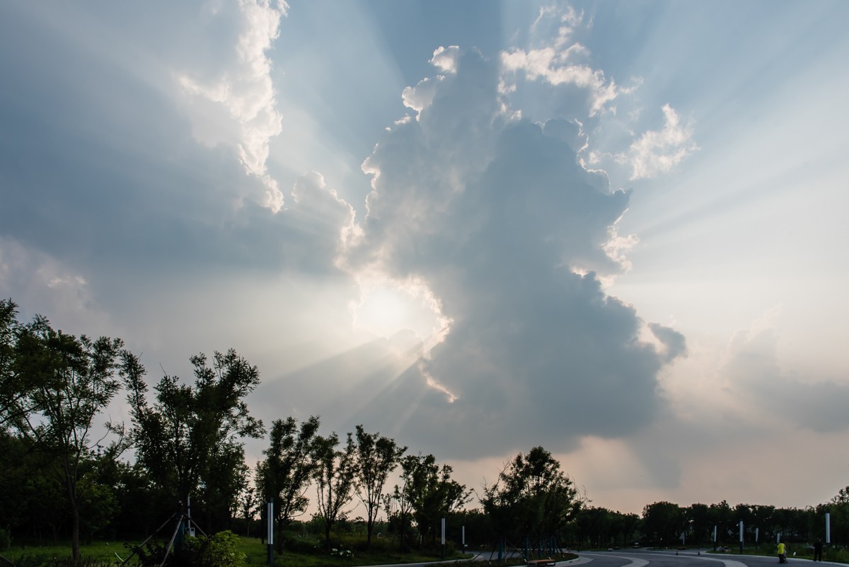 【镜头里】第1406号：唐山花海·后园博时代的城市名片（十六）