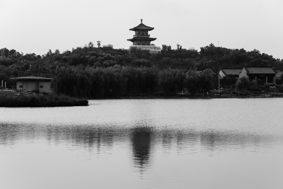 【镜头里】第1406号：唐山花海·后园博时代的城市名片（十六）