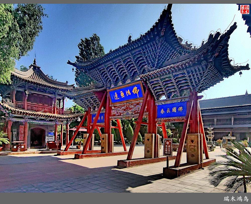 【甘青大环线】7.张掖拜访大佛寺