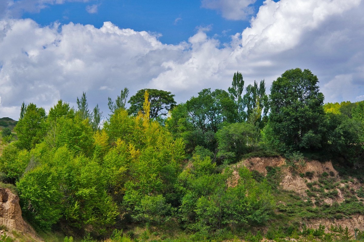 宁夏南部山区农村情景