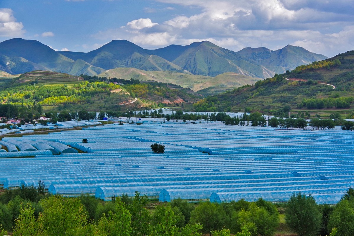 宁夏南部山区农村情景