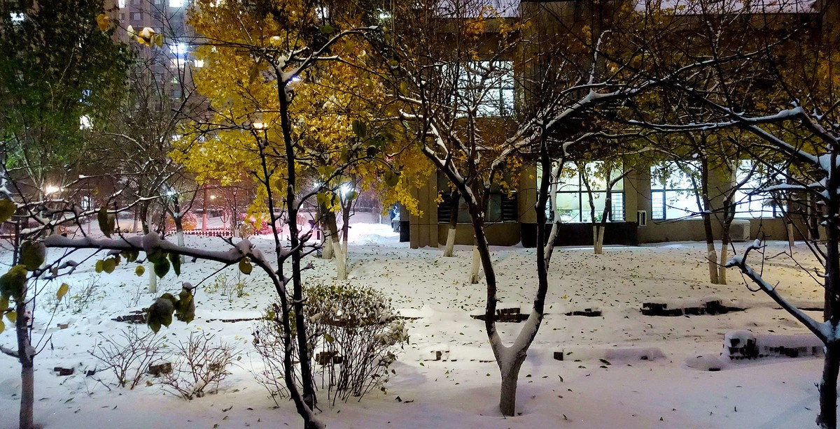 立冬小区雪夜美