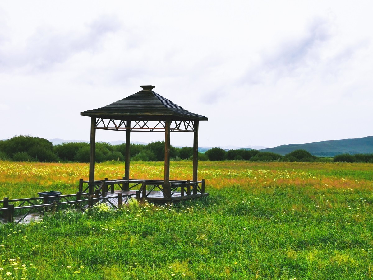 寒冬过后，春暖花开——逆境中的重生与希望