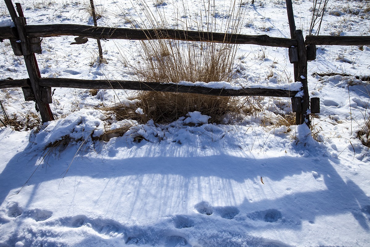 白云舒卷映蓝天, 银装素裹景随仙。
