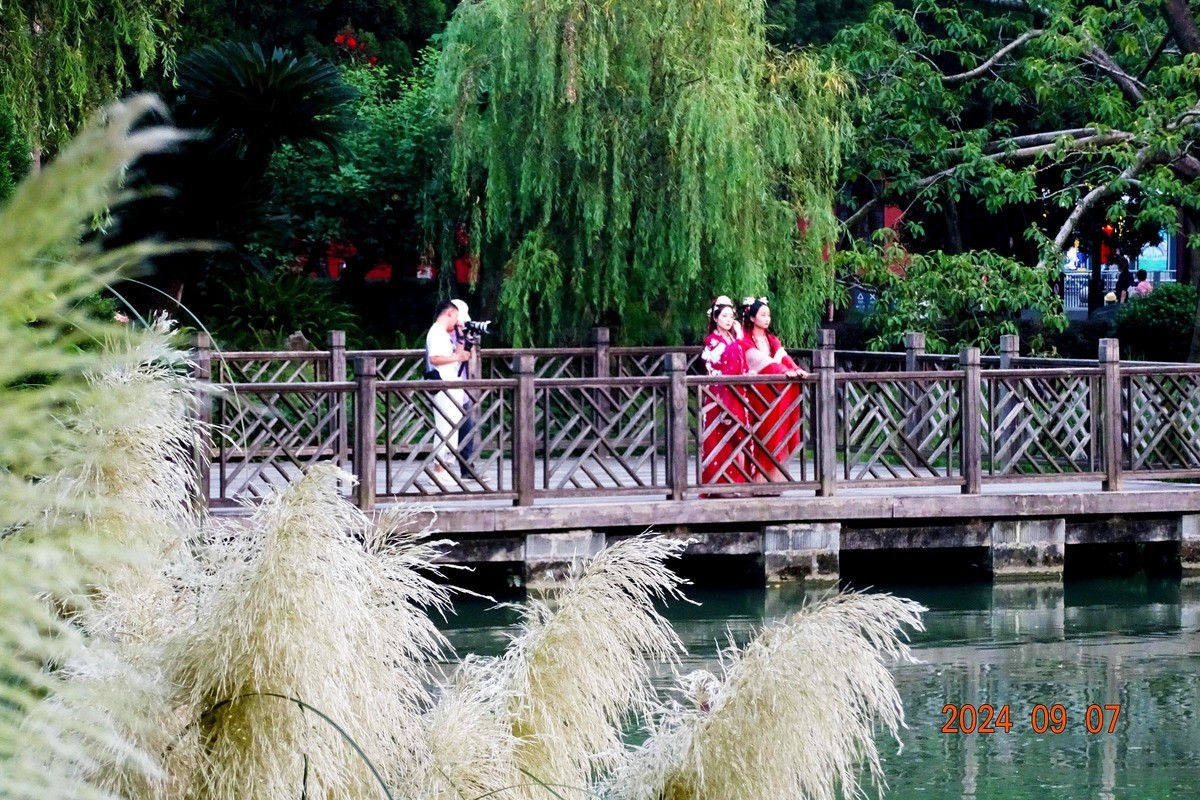 武侯祠来了苗家女