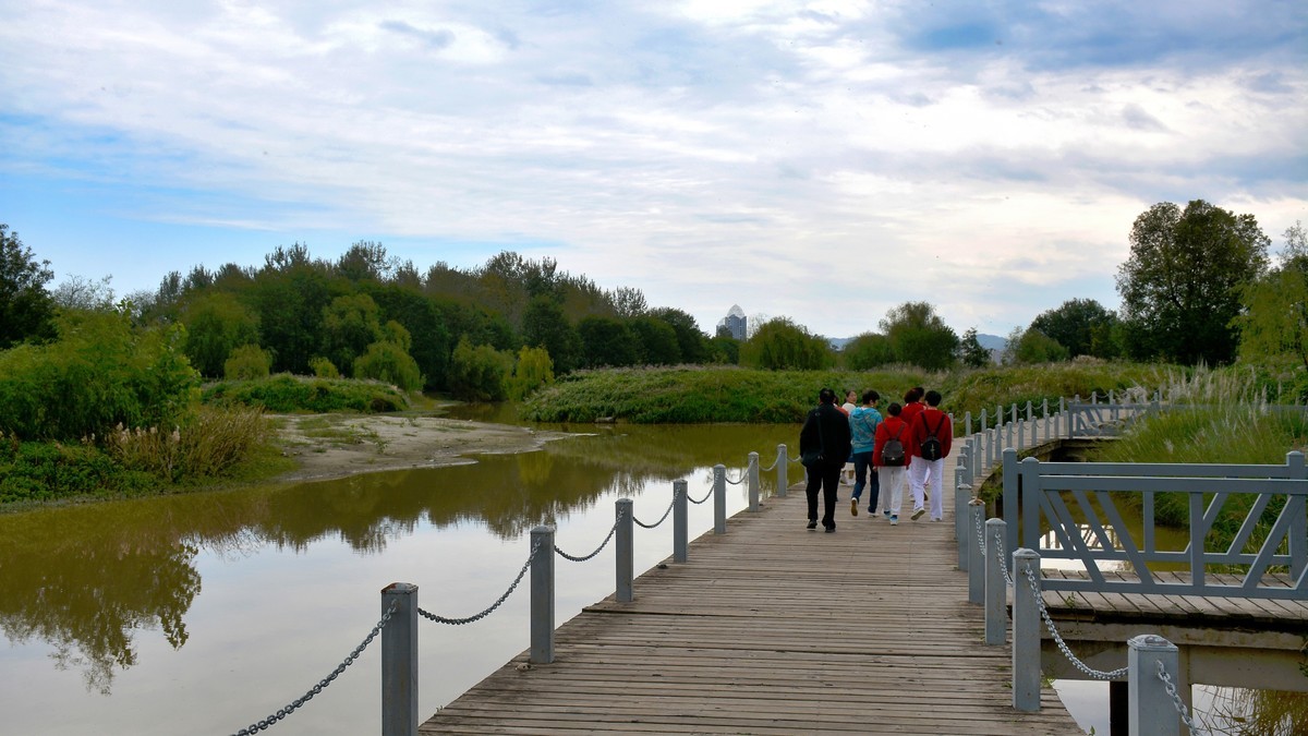 湿地秋拍（2024291）